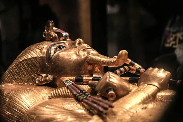 HALF Day NEW GRAND MUSEUM