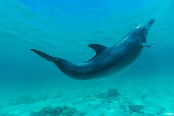 7 Days Cairo & Hurghada Escape – From Ancient Wonders to the Red Sea Paradise